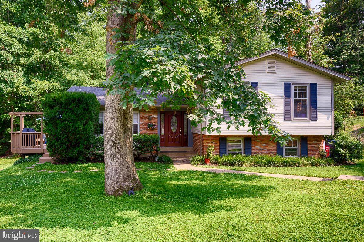 4605 Tara Drive - Photo 1