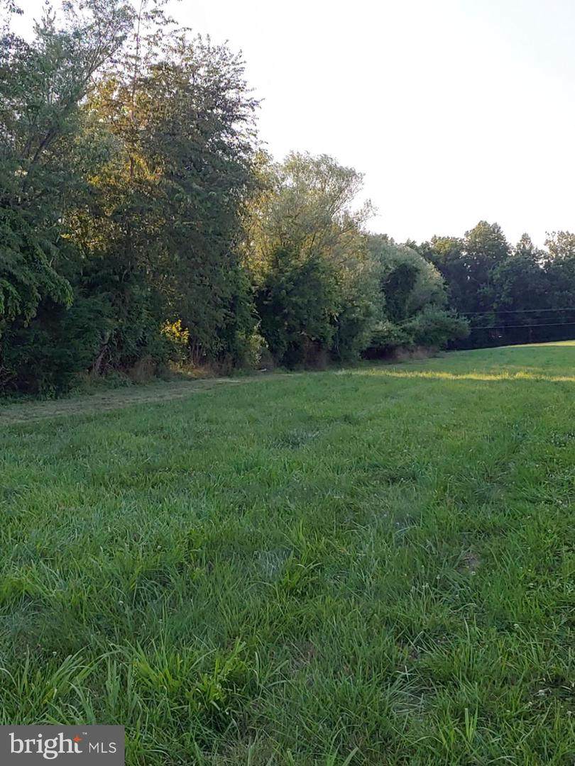 Lot B Twin Oaks Lane - Photo 1