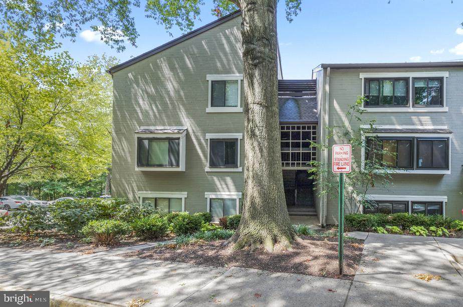 2216 Springwood Drive - Photo 1