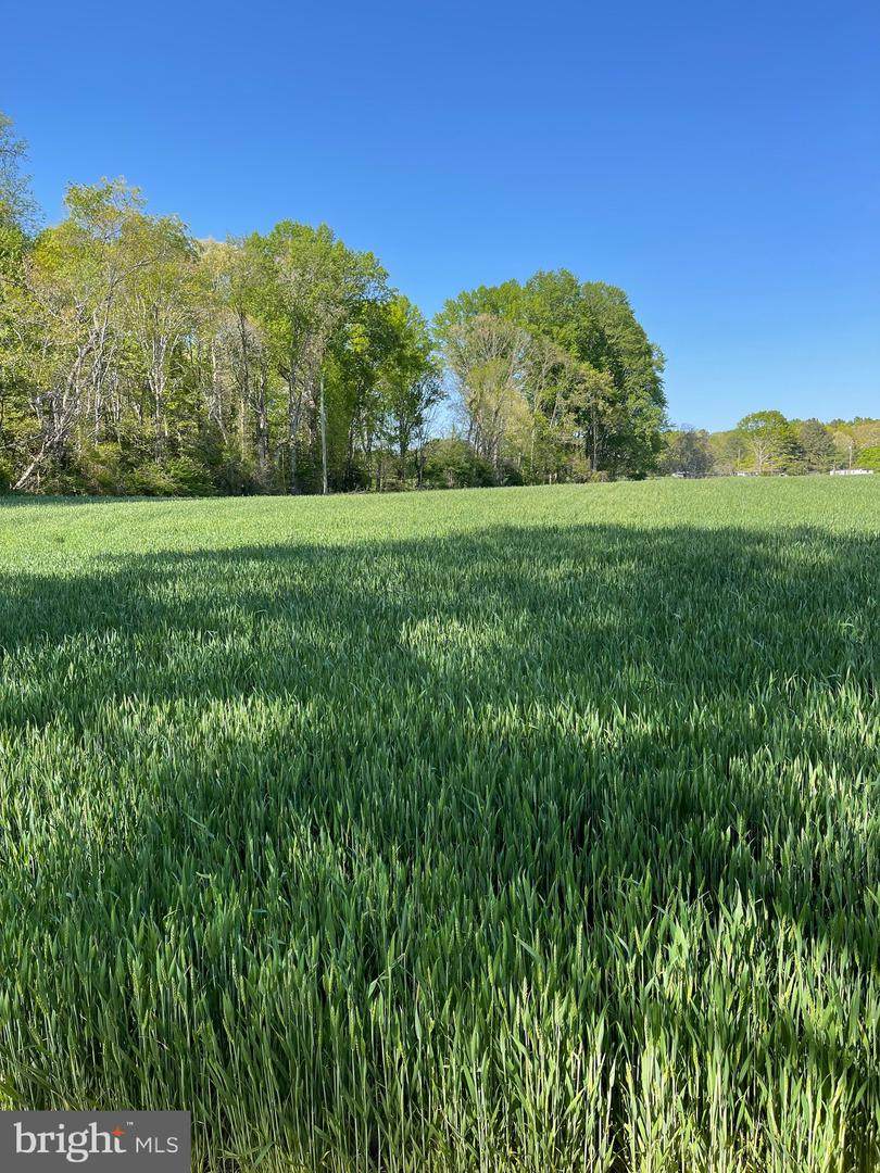 55 106C Vault Field Road - Photo 1