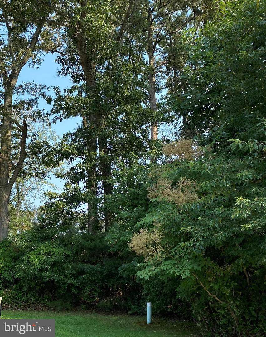 148 Shore Drive - Photo 1