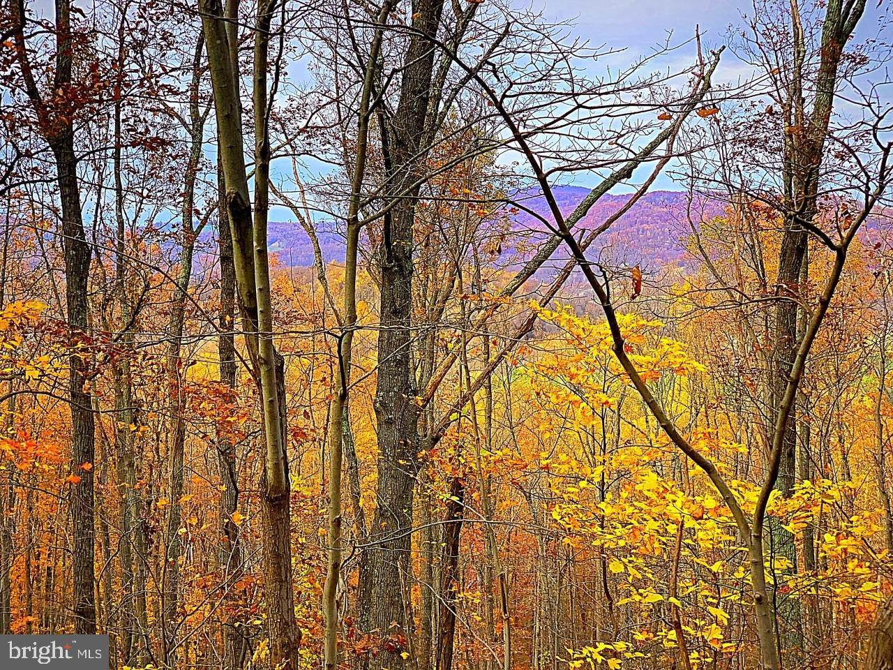 Lot 5 Little Long Mountain Road - Photo 1