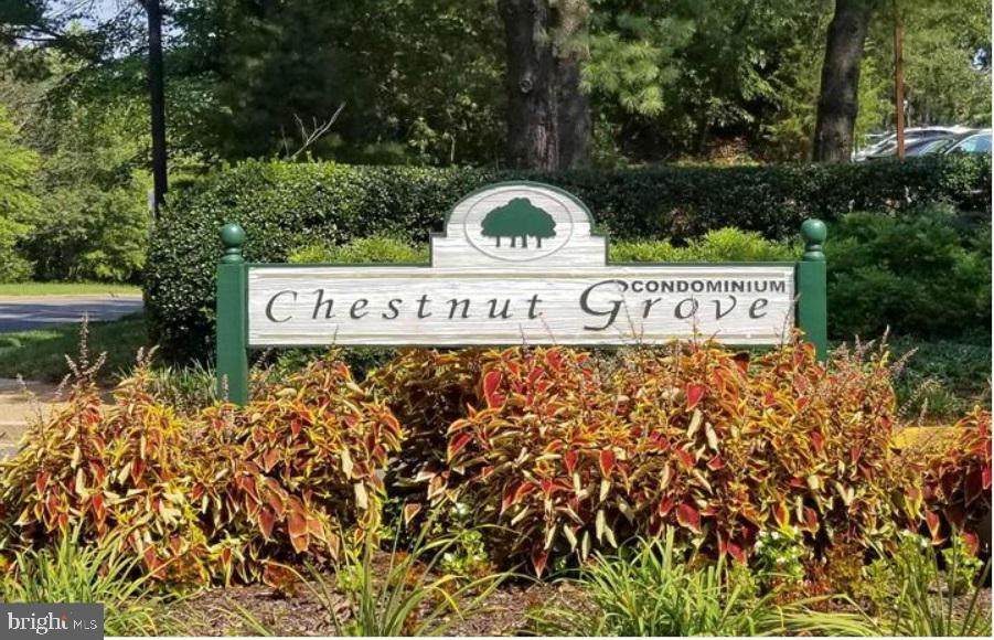 11244 Chestnut Grove Square - Photo 1