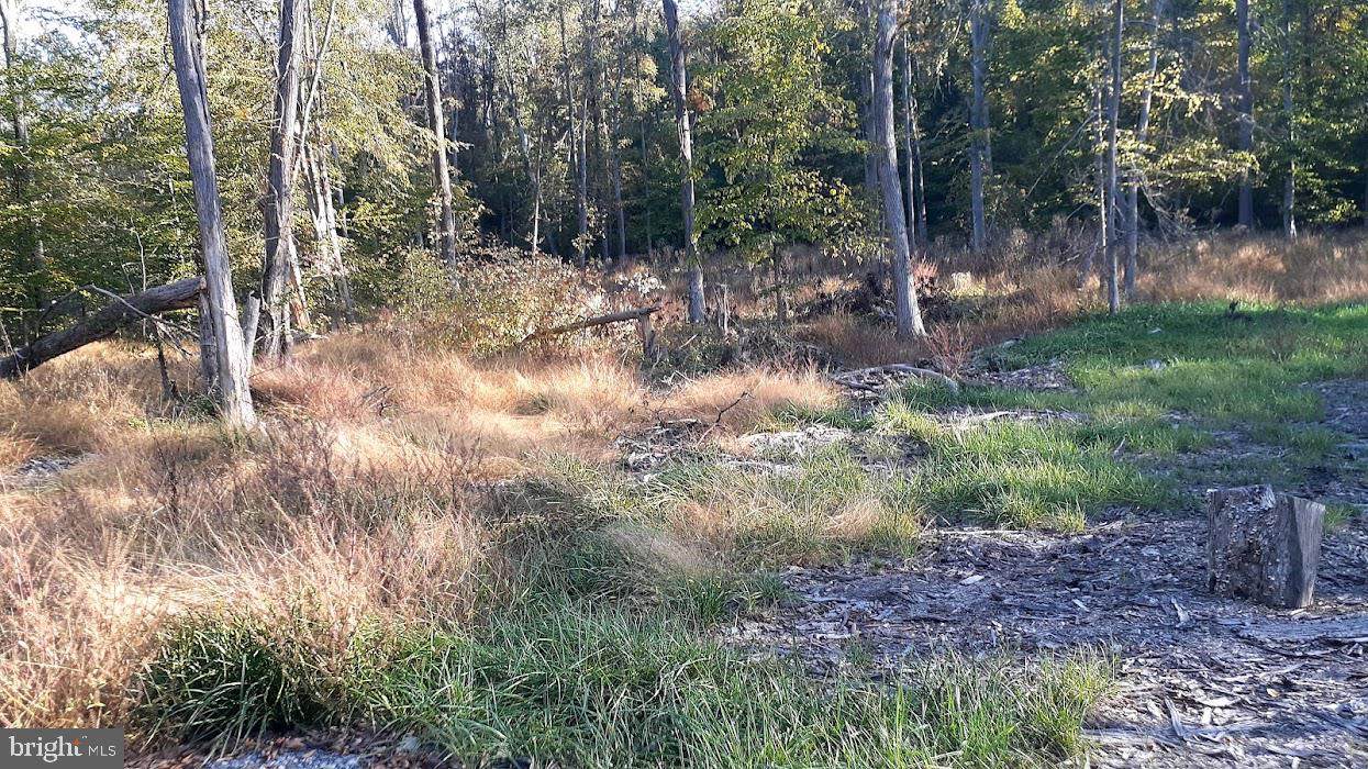 Stewart Hill Road - Photo 1