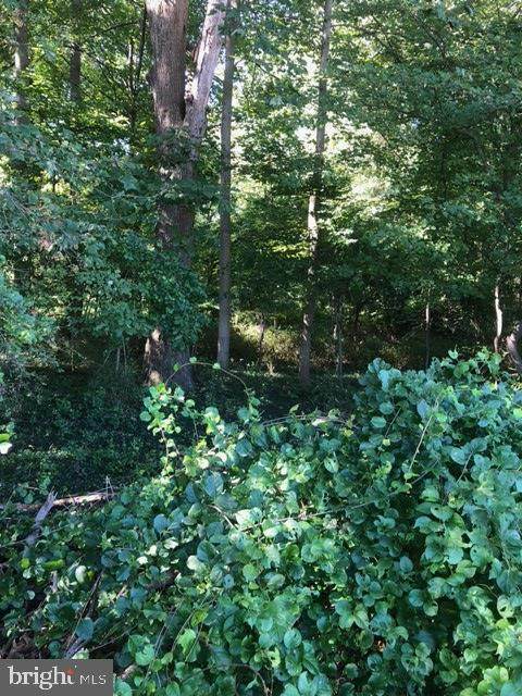 Lot 1 Old Frederick Rd Sw - Photo 1