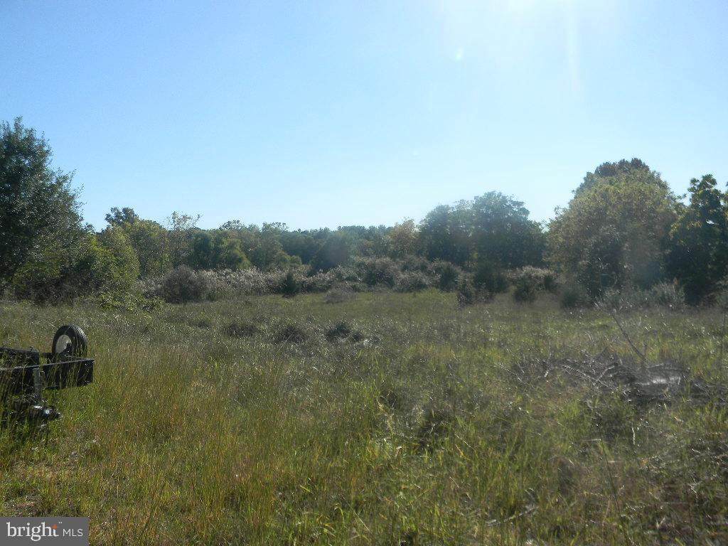 256 Walnut Avenue - Photo 1