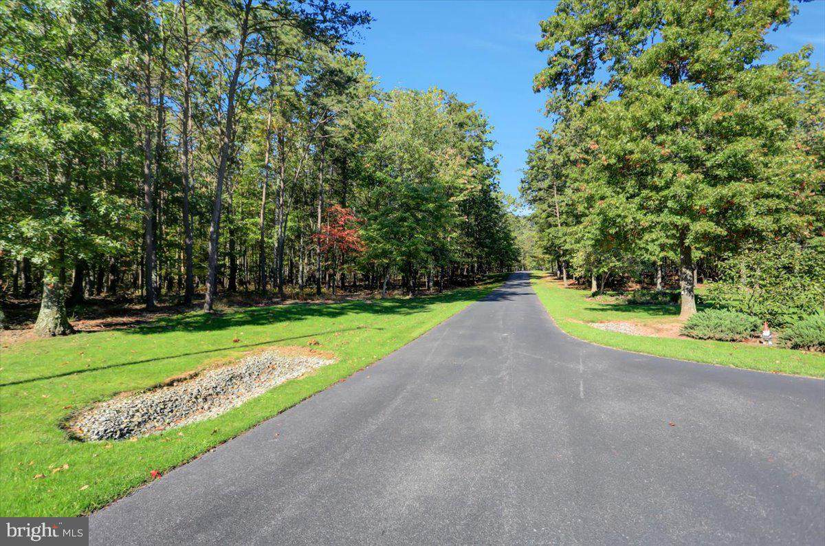 5494 Black Bear Road - Photo 1