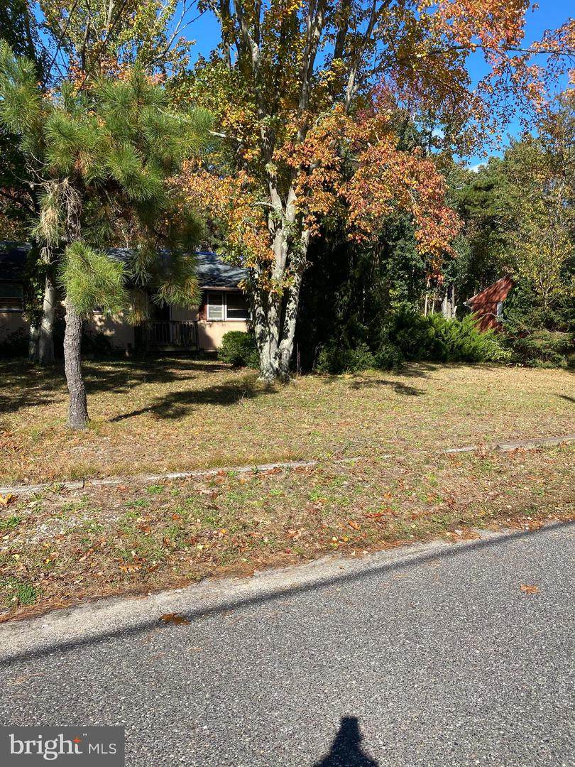 217 Bittlewood Avenue - Photo 1