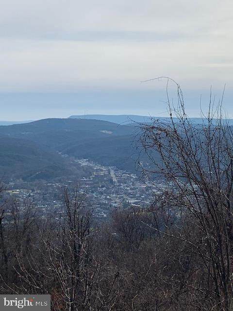 Lot 83 Skyview Drive - Photo 1