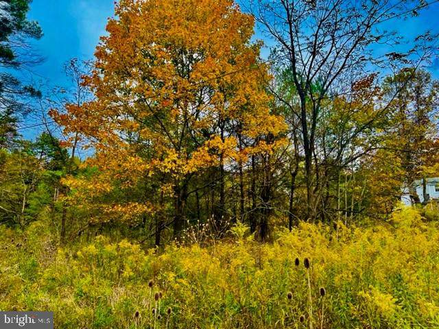 Oakland Dr, 5 Acres - Photo 1
