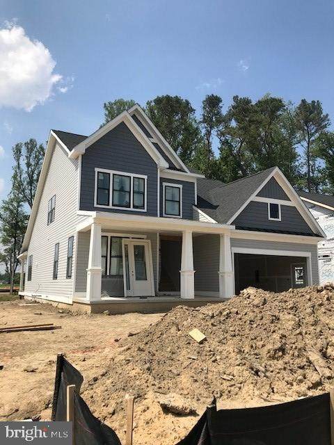 31011 Silver Maple Drive - Photo 1