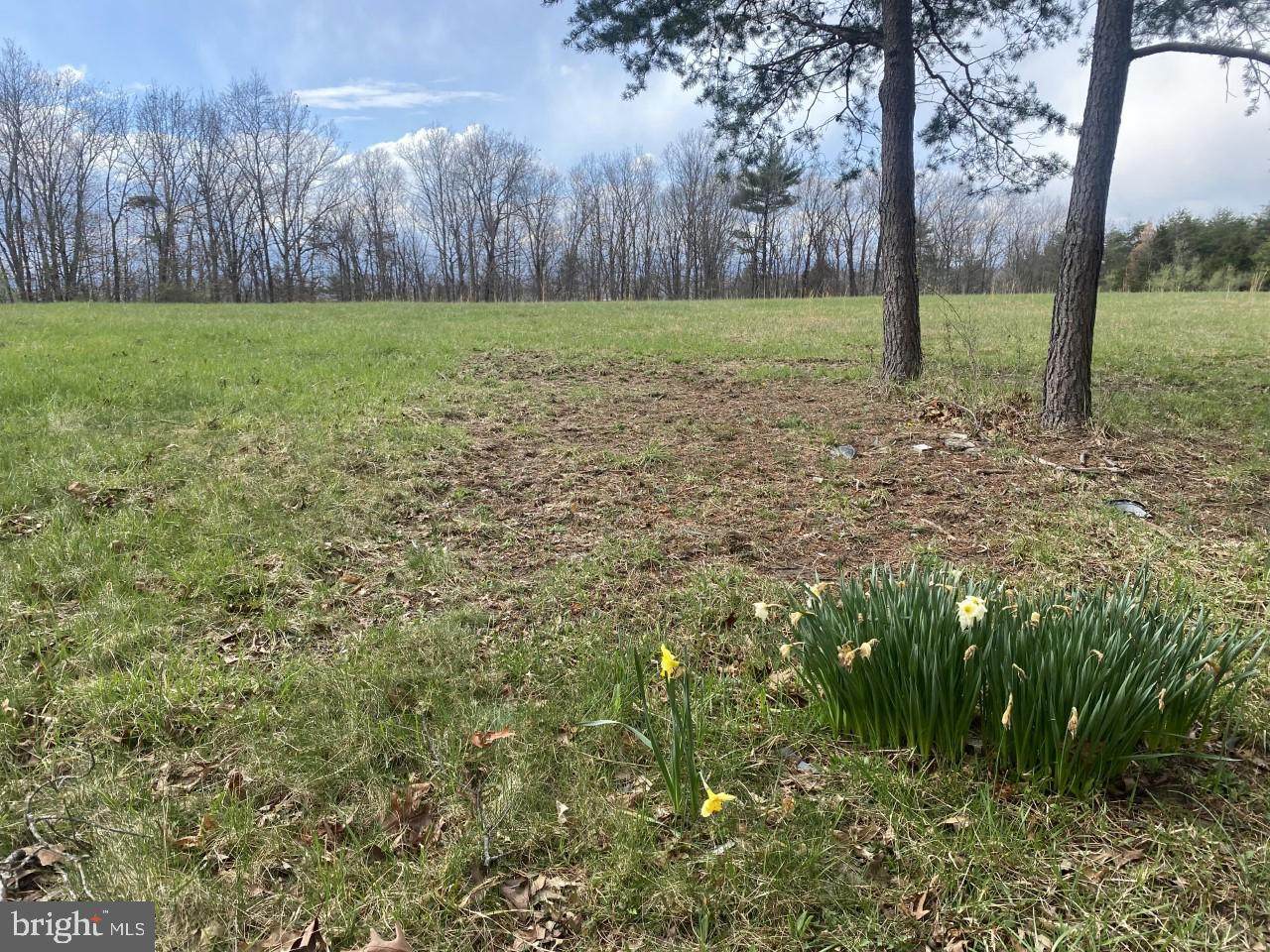Lot 53 A & F Hunting Ridge Road - Photo 1