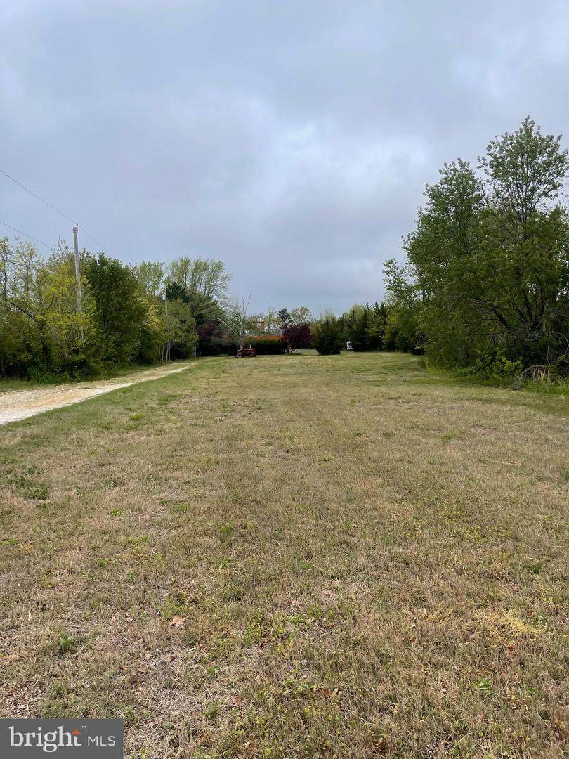1073 Dragston Road - Photo 1