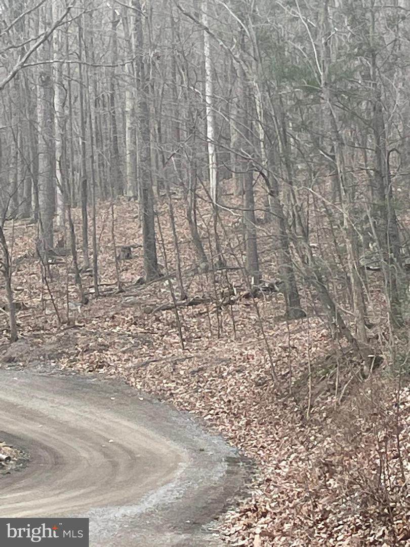 Lot #6 Clay Spur Road - Photo 1