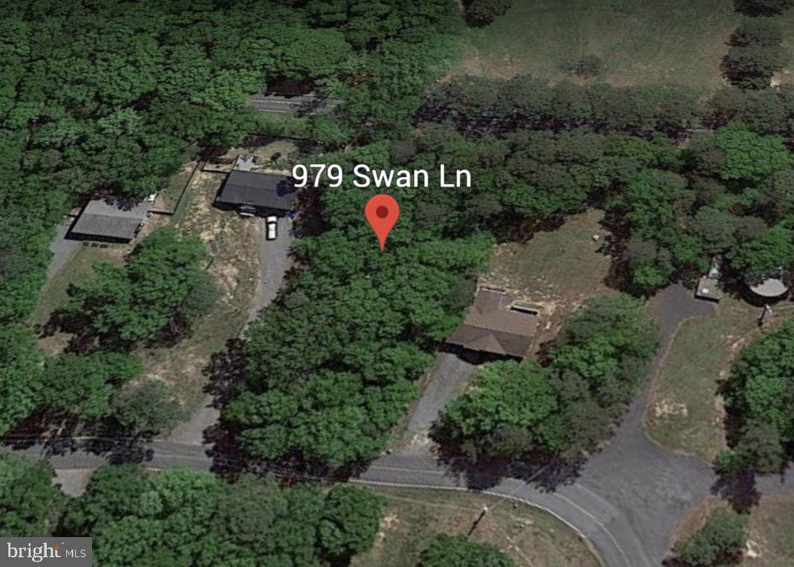 979 Swan Lane - Photo 1