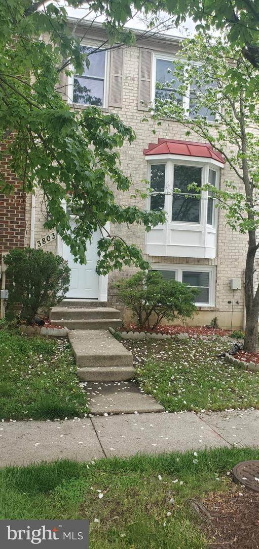 3803 Envision Terrace - Photo 1