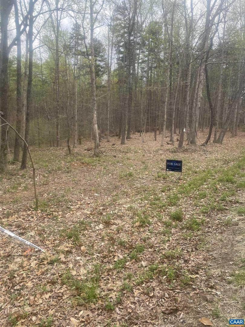 2150C Lot 7 Moore Rd - Photo 1