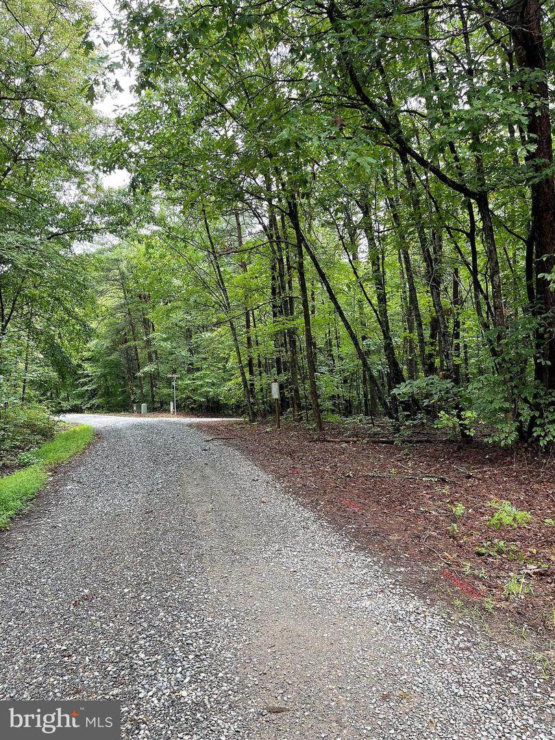 Pine Needle Dr - Photo 1
