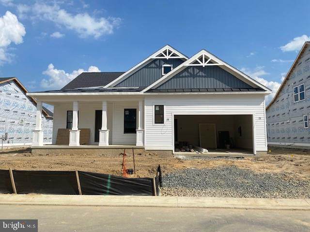 31012 Silver Maple Drive - Photo 1