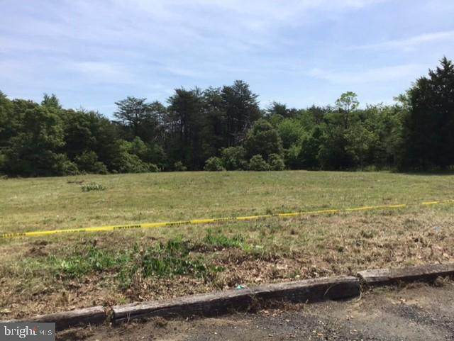 Gibbons Church Road - Photo 1