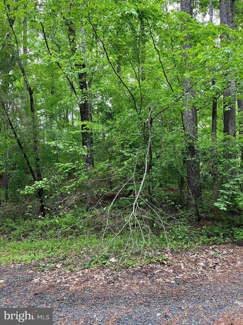 5 Tacoma Court - Photo 1