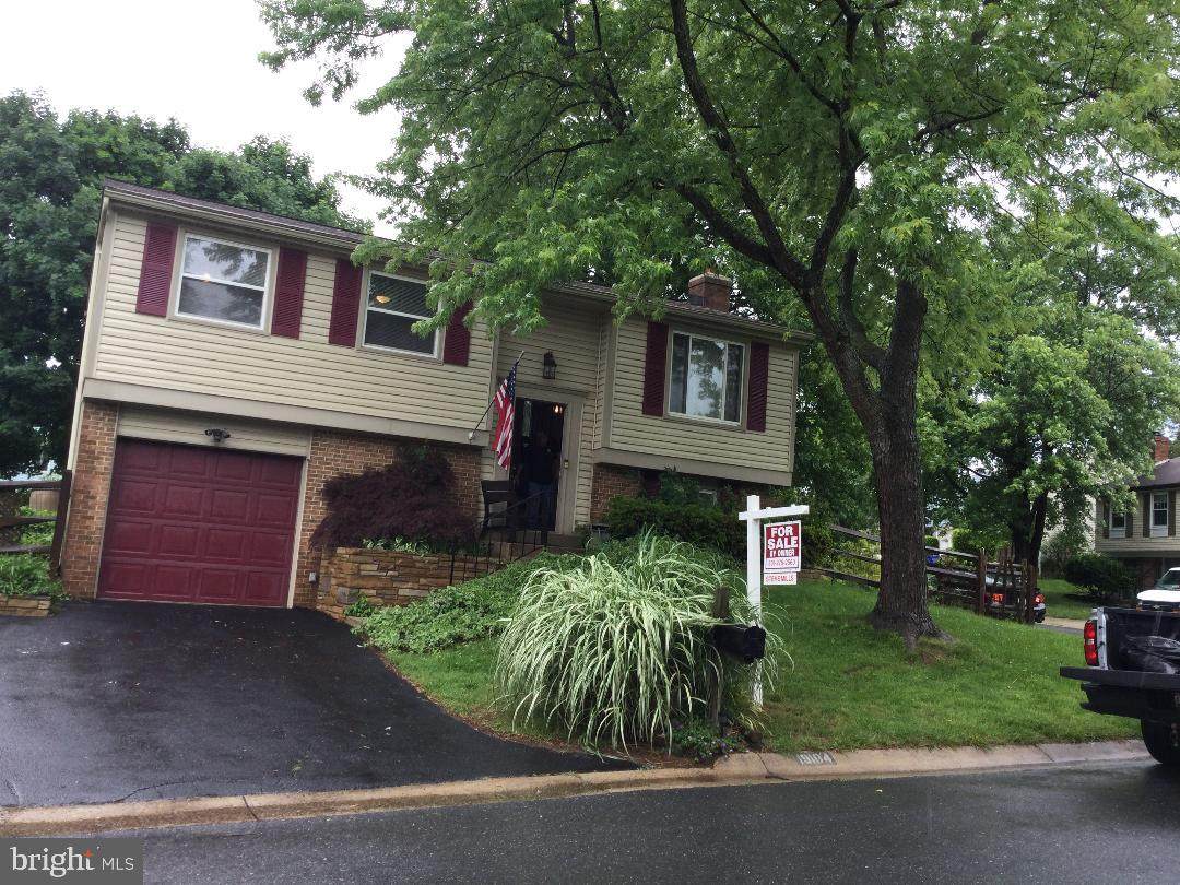 19104 Jamieson Drive - Photo 1