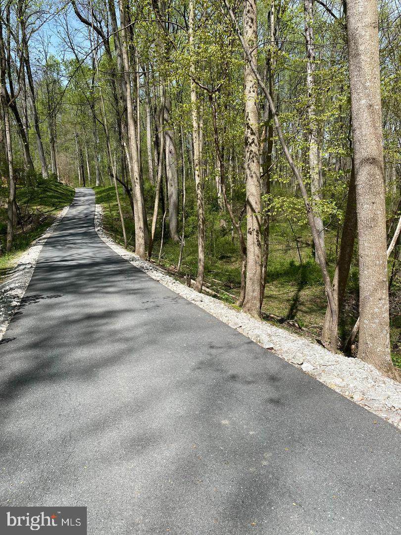 LOT31 RESIDENTIALHOM 5 ACRES ON GOLDEN OAK Drive - Photo 1