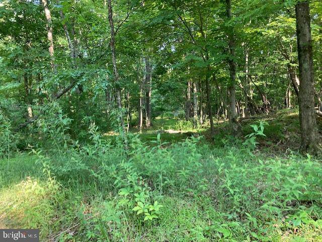 TBD Orkney Springs Road - Photo 1