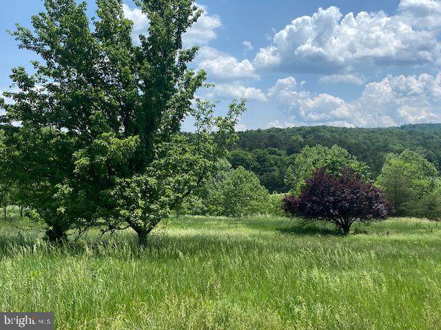 LOT 18 Woods At Taylor Lake - Photo 1