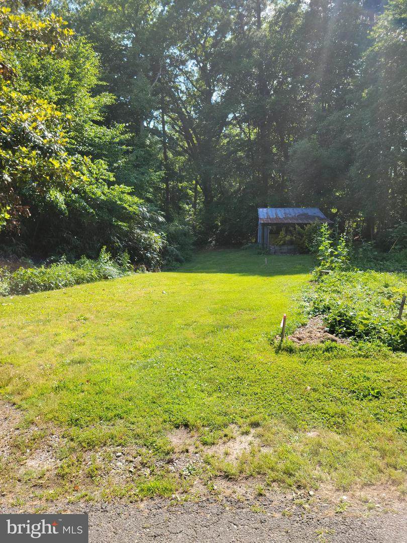 11422 Potomac Road - Photo 1