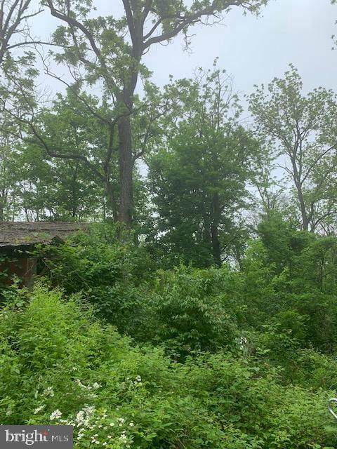 629 Schoolhouse Road - Photo 1