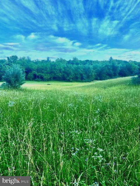LOT#3 5 ACRES Minebank - Photo 1