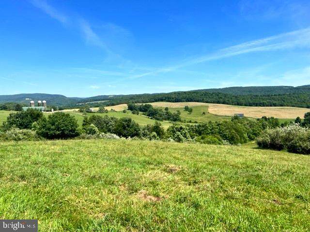 Dixon Road (16+ Acres) - Photo 1