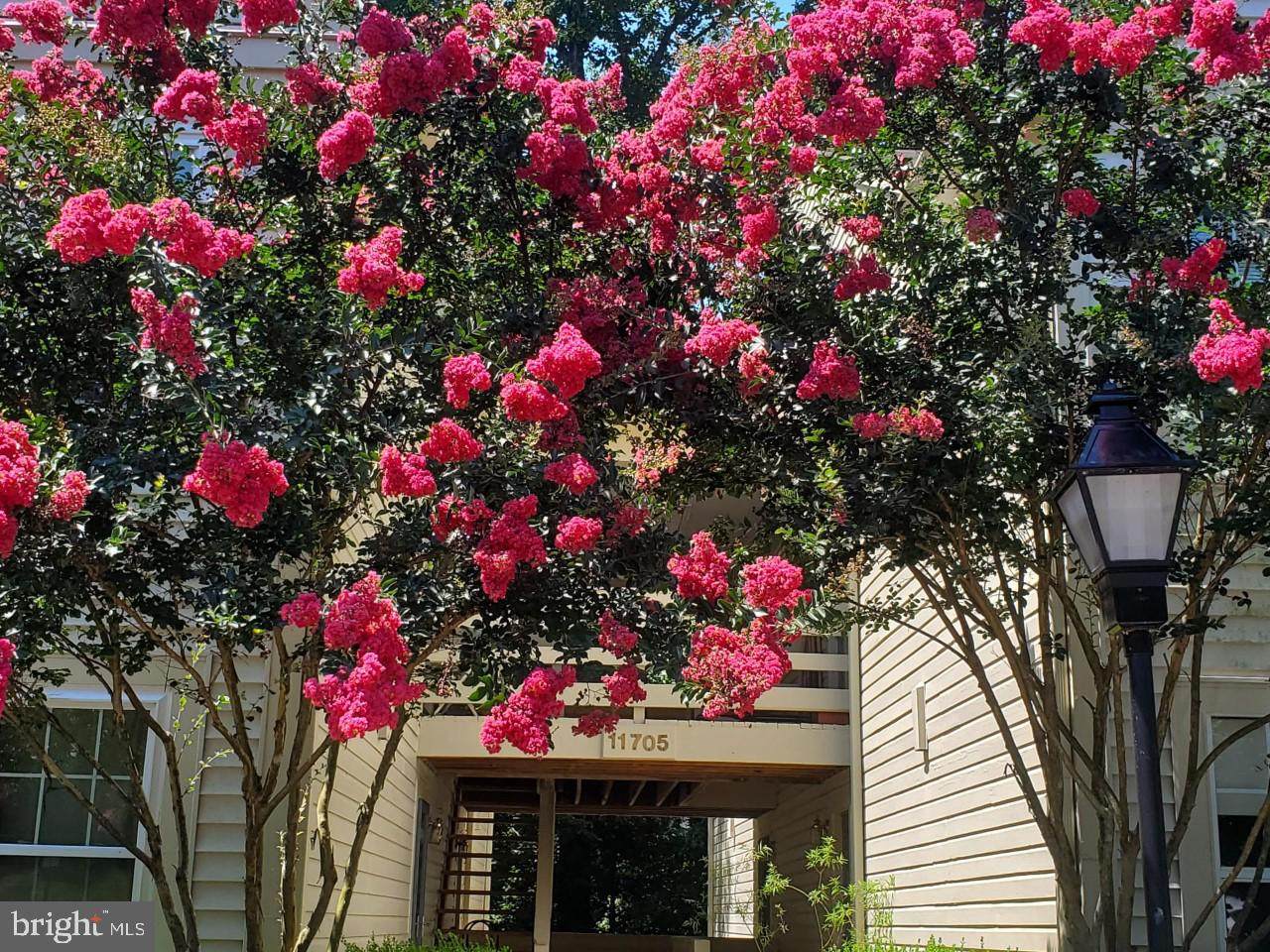 11705-J Karbon Hill Court - Photo 1