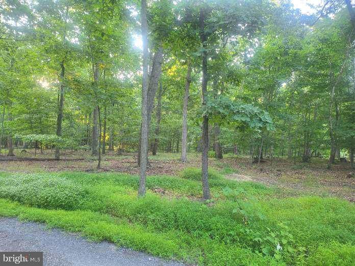 Lot 4 Dance Hall Road - Photo 1