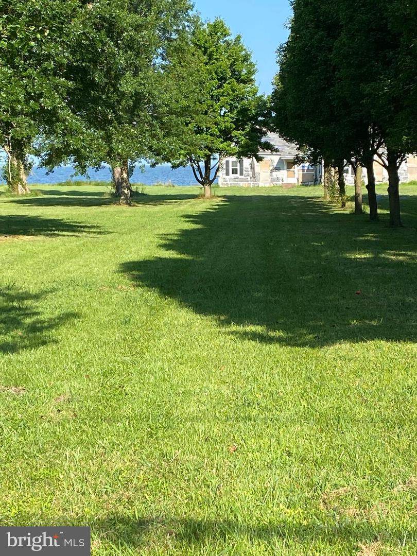 20514 Nanticoke Road - Photo 1