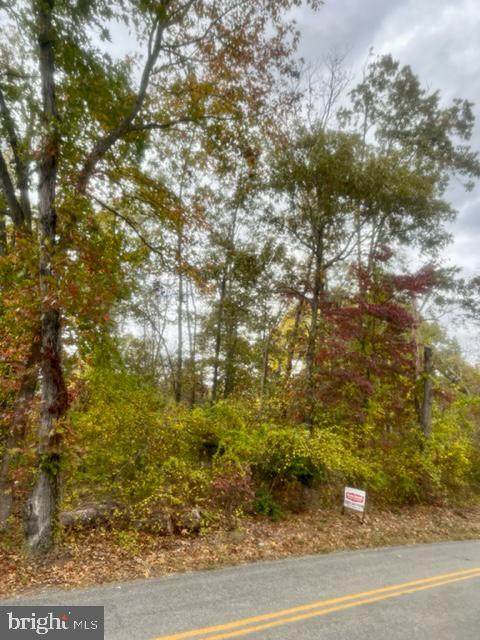 Fenwick Road - Photo 1