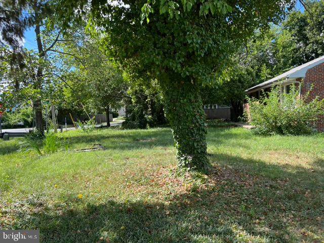 8481-A Main Avenue - Photo 1
