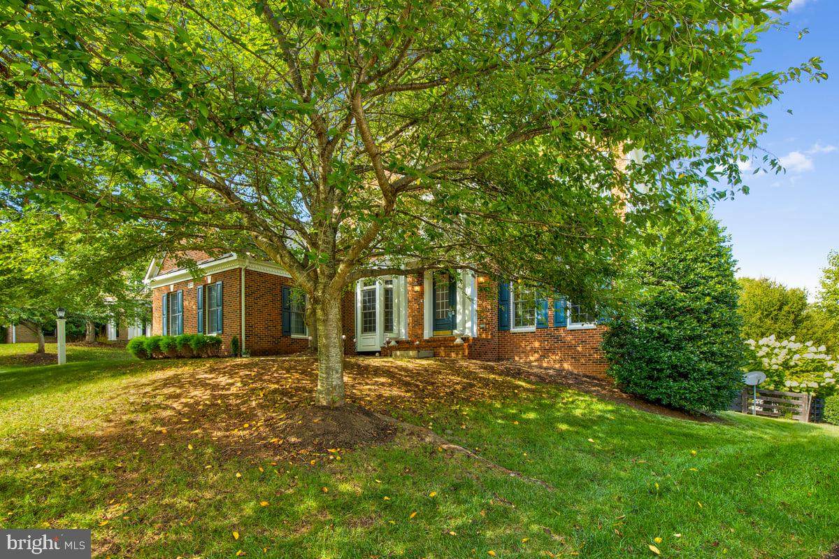 24188 Spring Meadow Circle - Photo 1