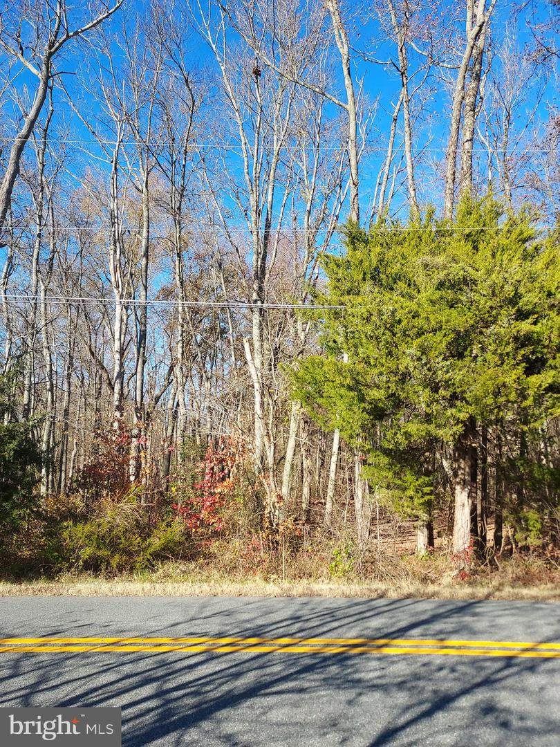 589 Smyrna Landing Road - Photo 1