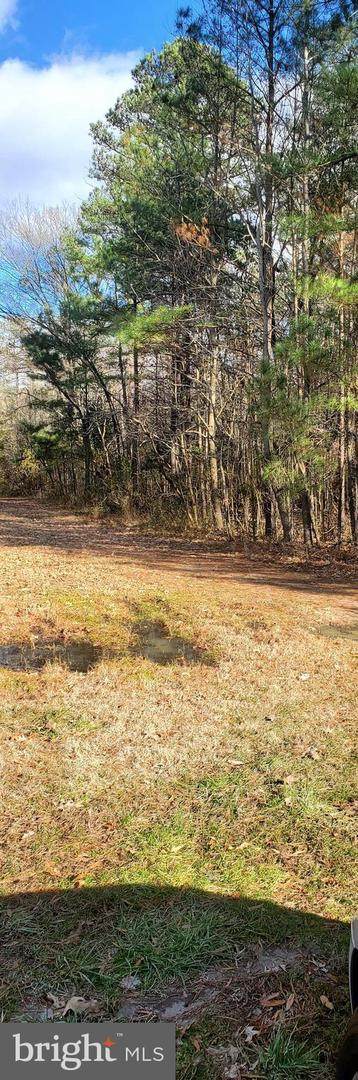 Lot #10 14TH ST ESTATES - Photo 1
