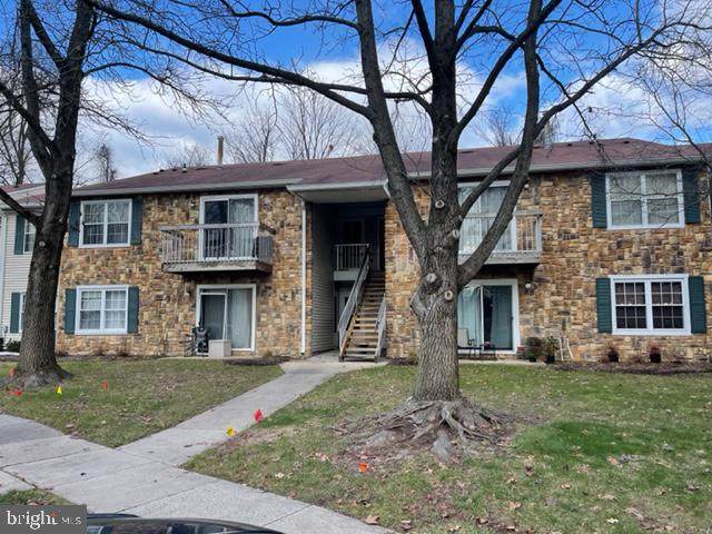 56 Barberry - Photo 1