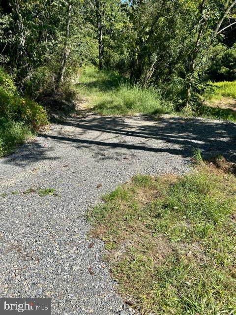 4306 Zeiglers Church Road - Photo 1