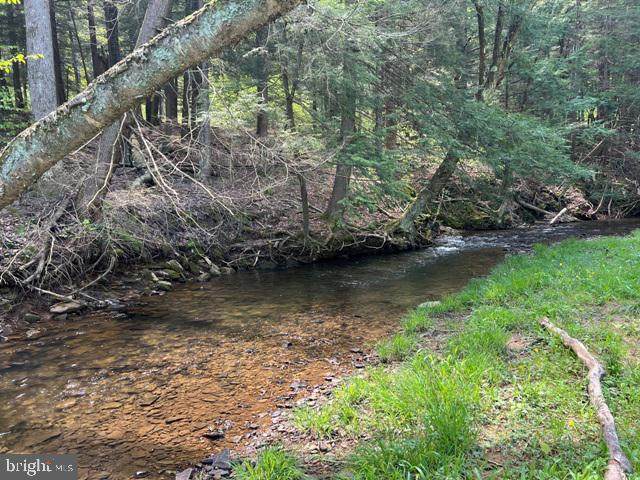 0 Clear Creek Road - Photo 1
