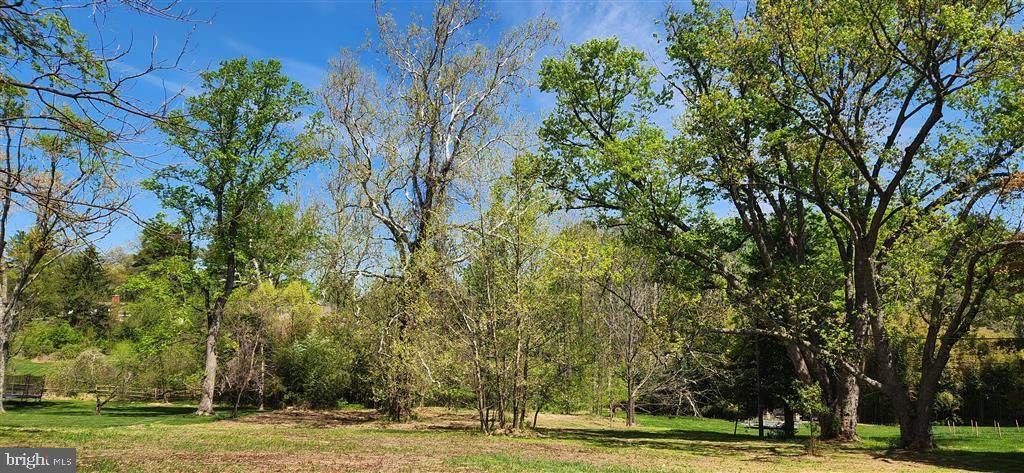 9710 Overlea Drive - Photo 1
