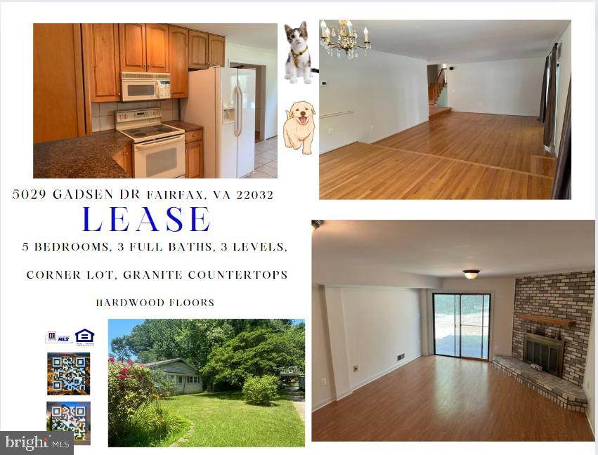 5029 Gadsen Drive - Photo 1