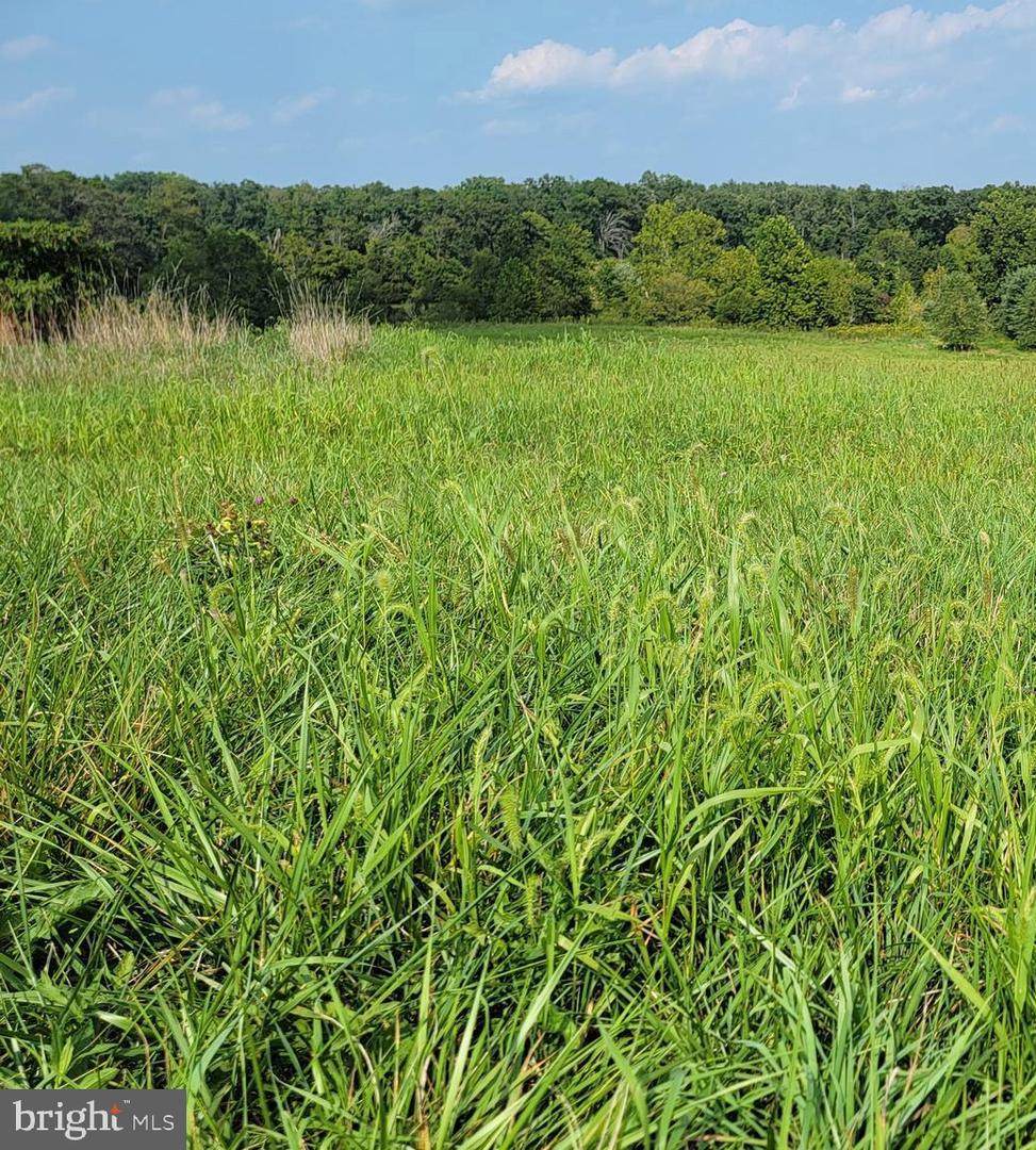 555 Middle Creek Road - Photo 1