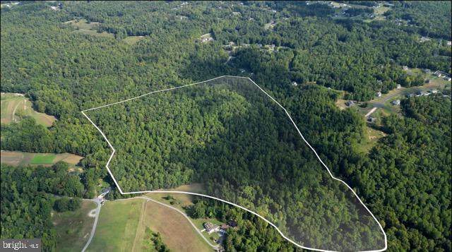 Scout Camp Road - Photo 1