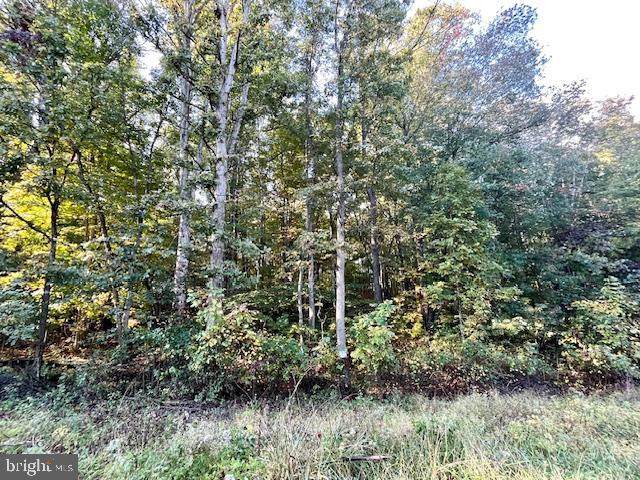 0 Short Mountain Road - Photo 1