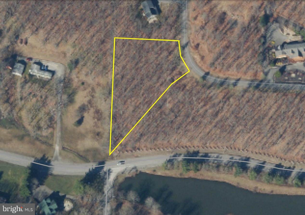 Lot #12 Bobs Lane - Photo 1
